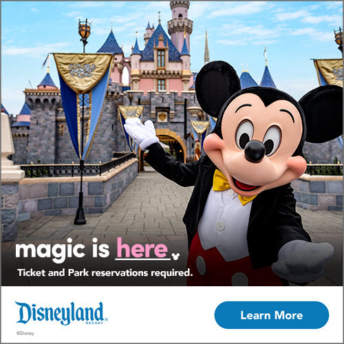 Disneyland Flyer Magic is Here