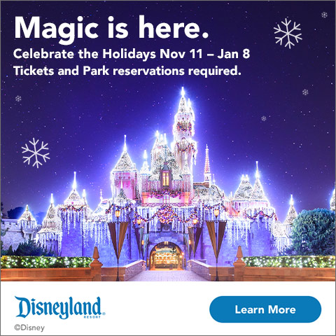 Disney Holidays Nov 11-Jan 8