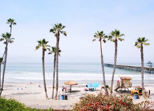 California beach with palm trees